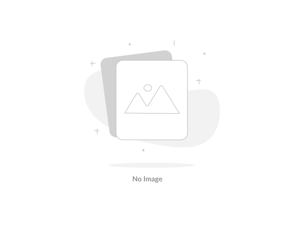 FORESTIVAL 2026: “Chiến binh Bình Minh” – Hành trình âm nhạc và sáng tạo giữa di sản Ninh Bình